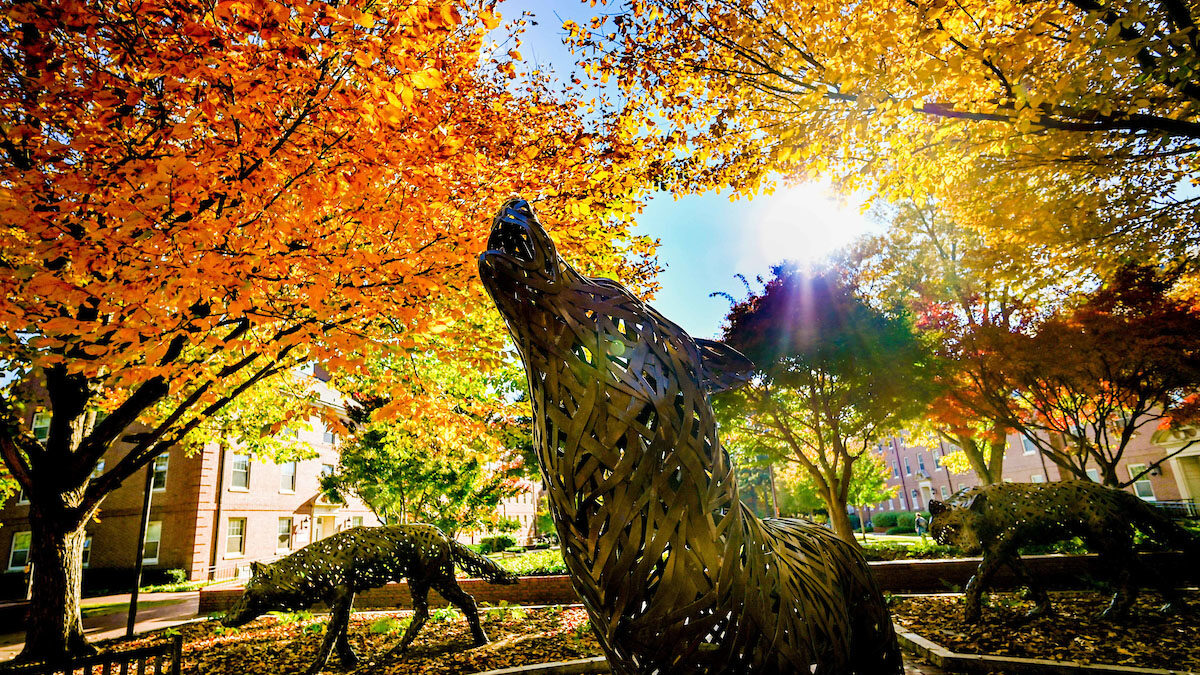 阳光照在狼广场上，背景是秋天的树木