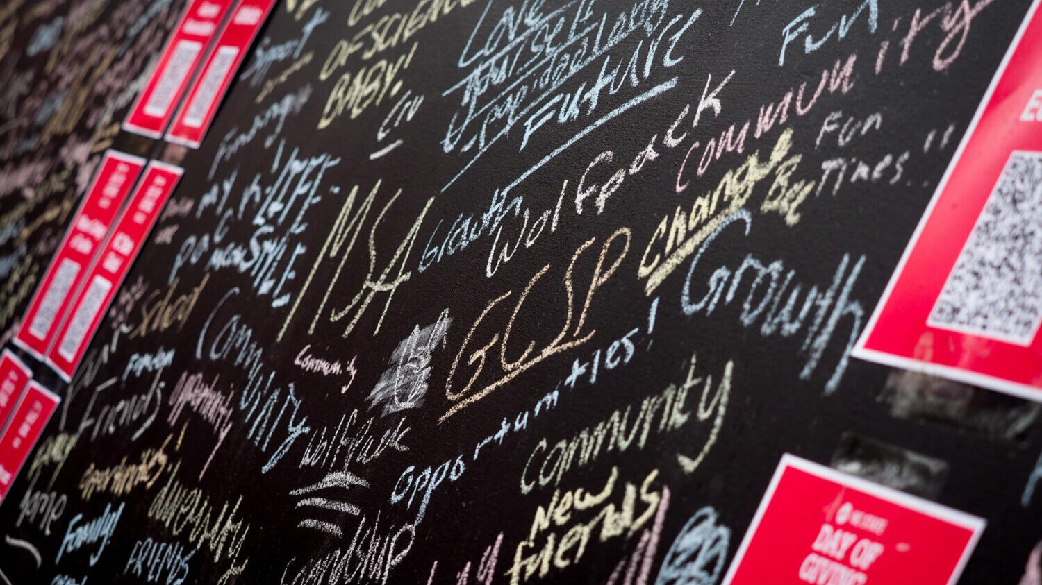 黑板上写满了学生们积极的话语，分享北卡州立大学对他们的意义
